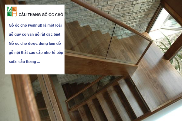 Cầu thang gỗ óc chó tự nhiên